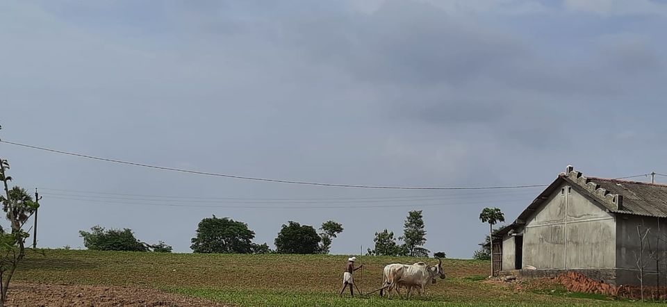 Photo of India by Kshiti Jhala