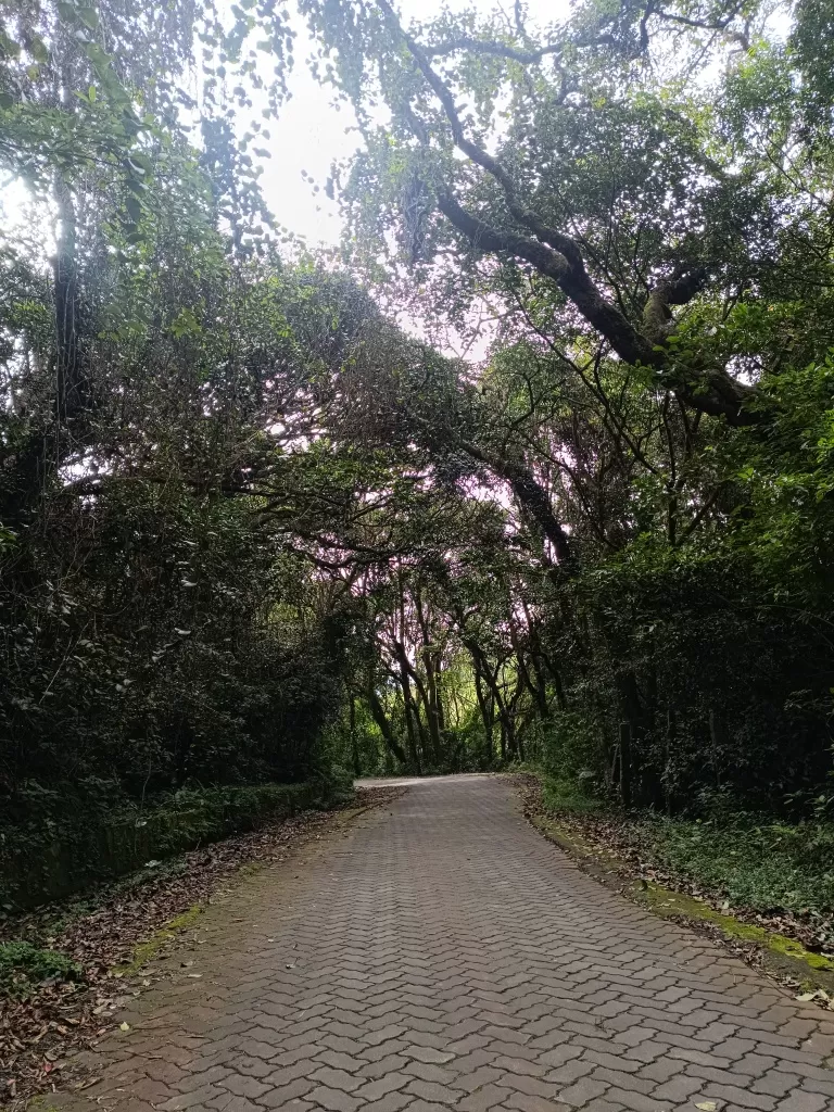 Photo of Coonoor by Kshiti Jhala