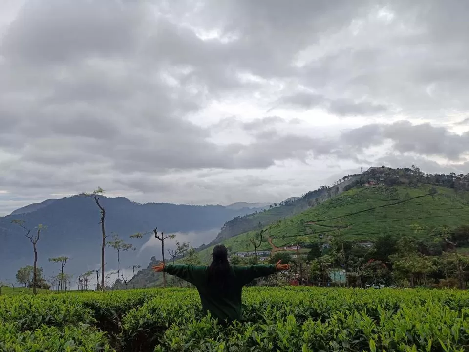 Photo of Coonoor by Kshiti Jhala