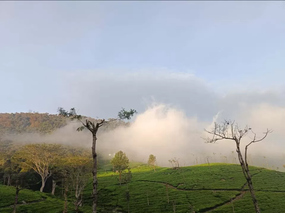 Photo of Coonoor by Kshiti Jhala