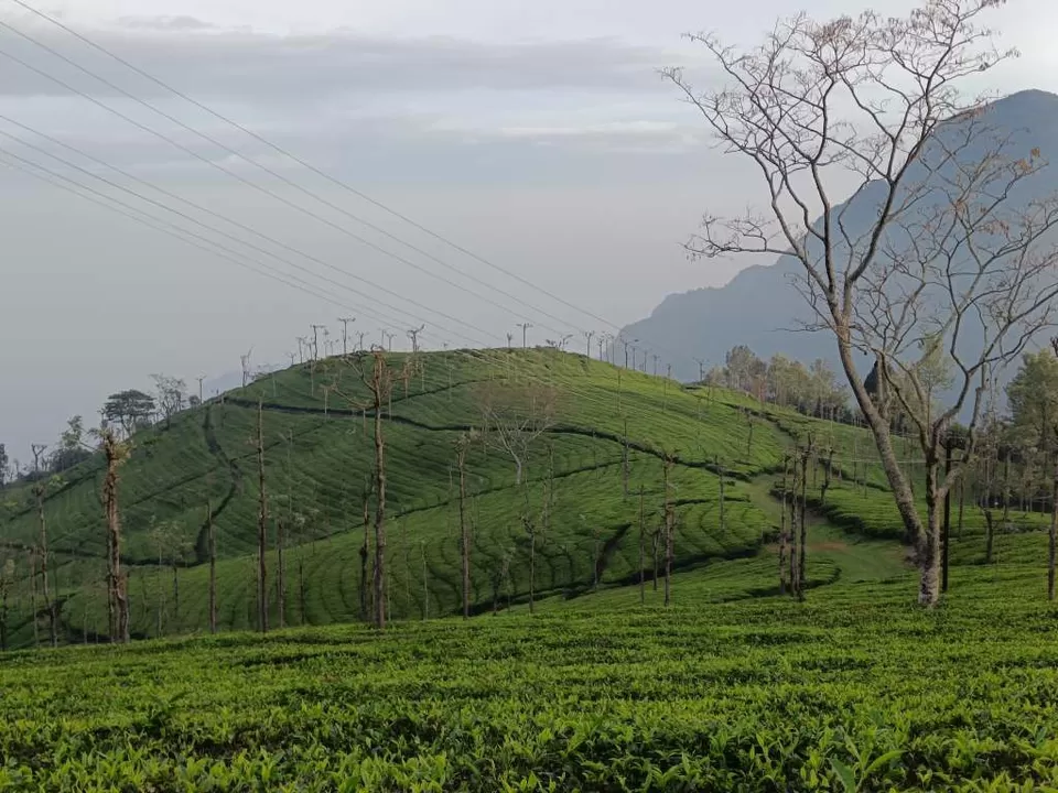 Photo of Coonoor by Kshiti Jhala