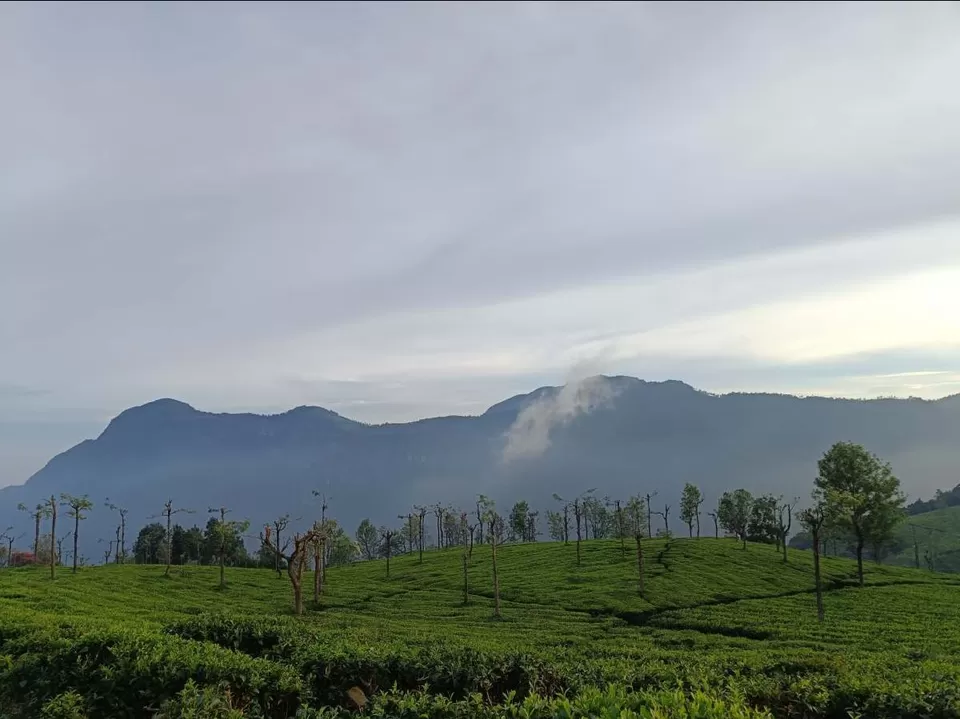 Photo of Coonoor by Kshiti Jhala
