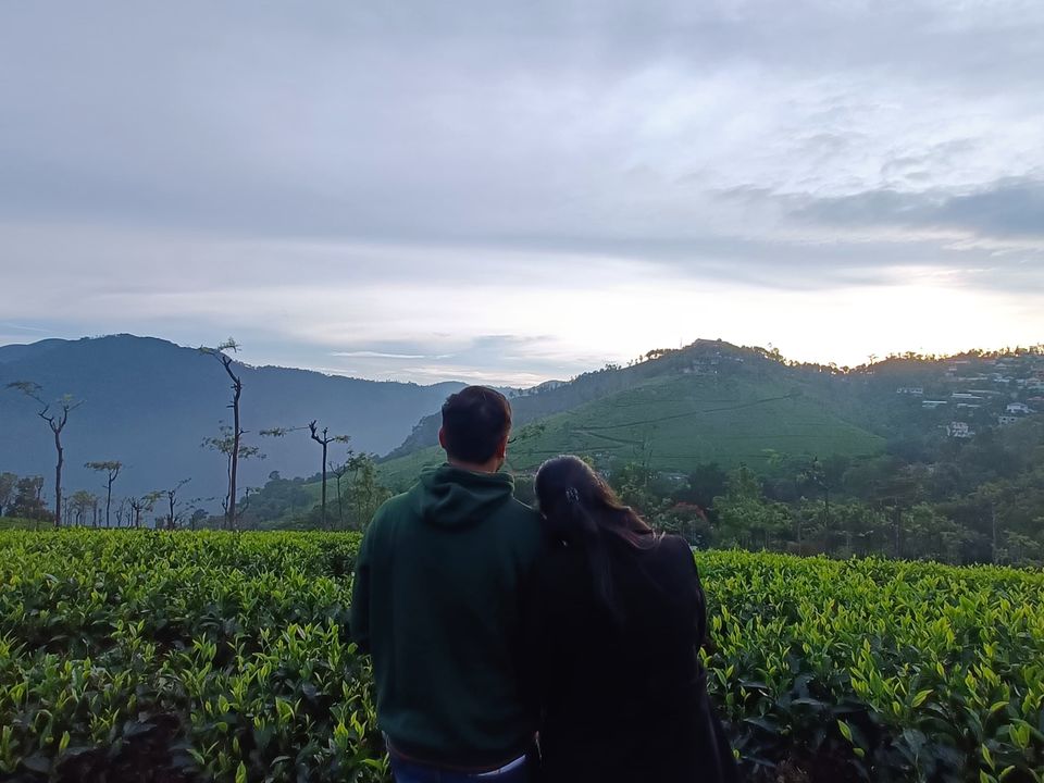 Photo of Into the Nilgiris 🌱 by Kshiti Jhala