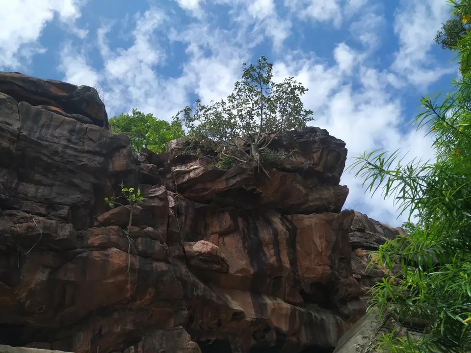 Photo of Apchnad : Hidden Treasure close to my Hand #WeekendGateaway by Sona Jain