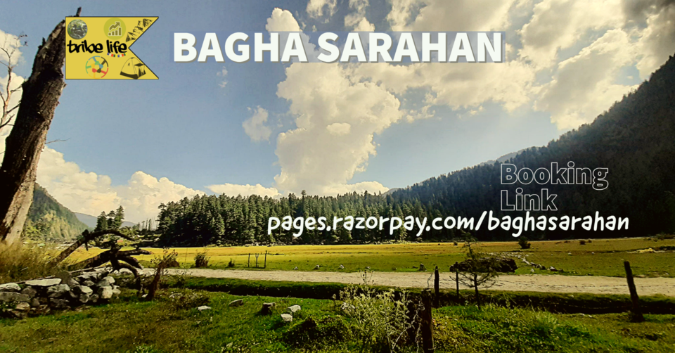 Photo of Bagha Sarahan 14th to 16th August by tribelife.in