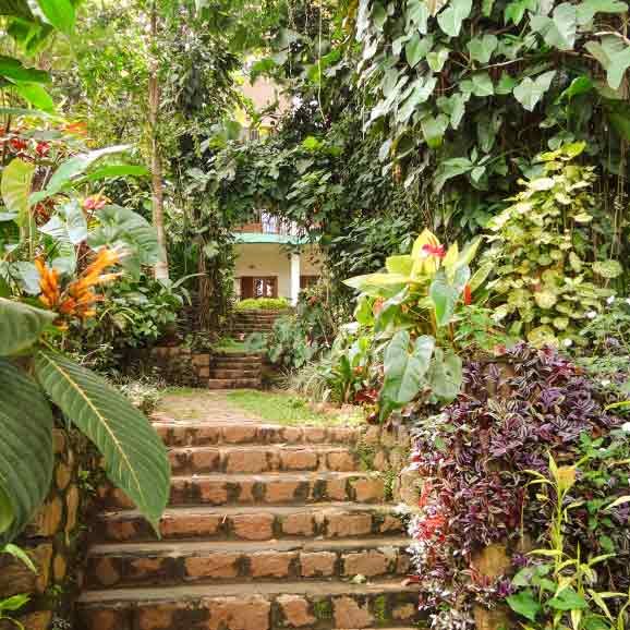 Photo of Chrissie's Hotel, Kumily, Kerala, India by Roli jain