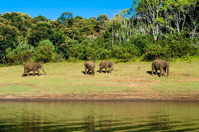 Photo of Kumily, Kerala, India by Roli jain