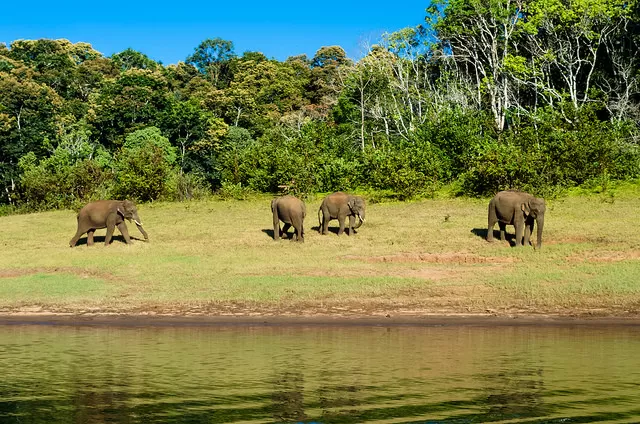 Photo of Kumily, Kerala, India by Roli jain