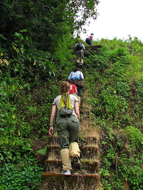 Photo of Things to do in Kumily/ Thekkady by Roli jain