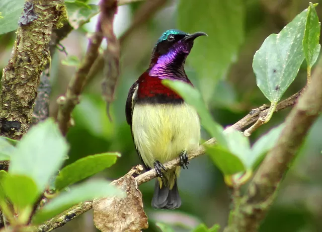 Photo of Things to do in Kumily/ Thekkady by Roli jain