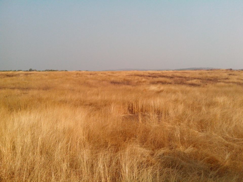 Photo of The Beguiling Charms of the Malvan Coast by Roli jain