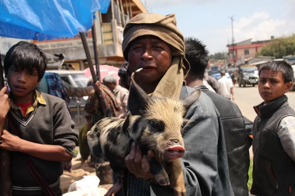 Photo of The Heart of Shillong, a Walk around Laithmukhrah by Roli jain