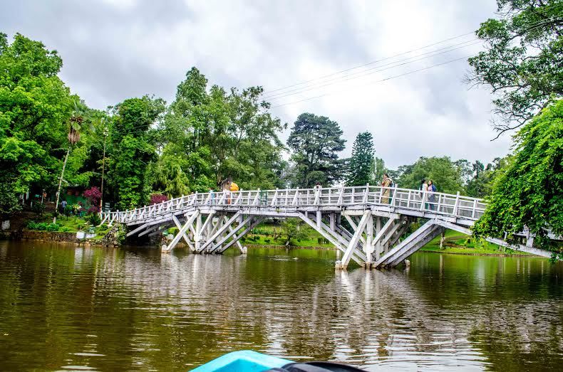 Photo of The Heart of Shillong, a Walk around Laithmukhrah by Roli jain
