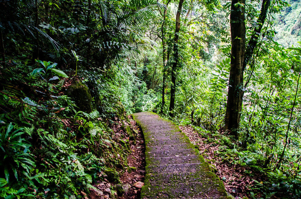 Photo of The Heart of Shillong, a Walk around Laithmukhrah by Roli jain