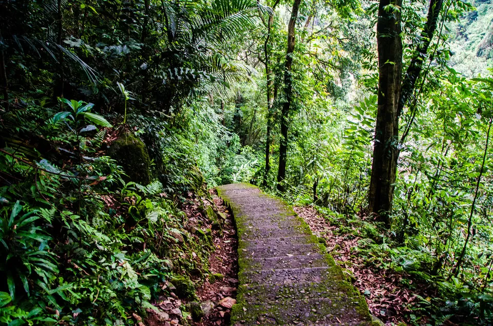 Photo of The Heart of Shillong, a Walk around Laithmukhrah by Roli jain