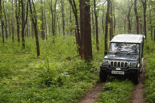 Photo of Eco Habitat Coorg, a Gracious and Enriching Experience by Roli jain