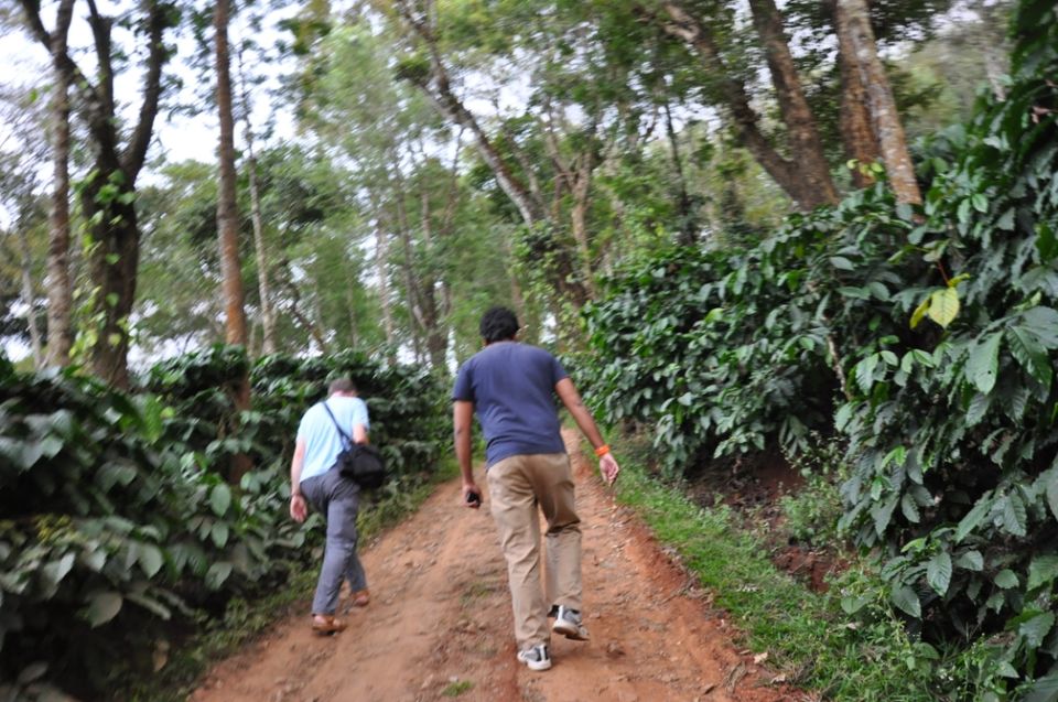 Photo of Eco Habitat Coorg, a Gracious and Enriching Experience by Roli jain