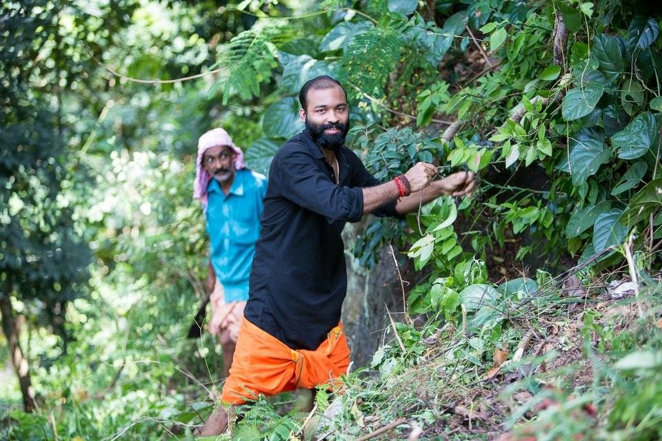 Photo of A Yoga Vacation in Kerala at the Sivananda Ashram, Neyyar by Roli jain