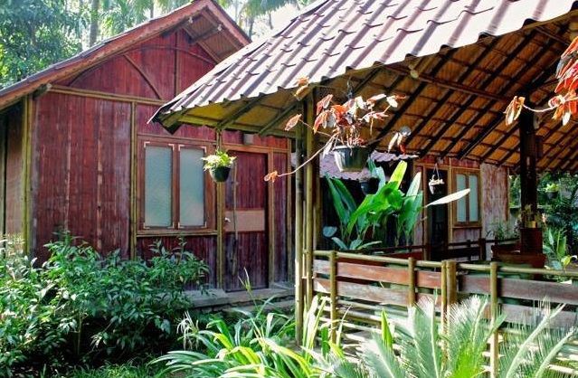 Photo of Alibag - A Nature Haven Just One Hour Away From Mumbai by Roli jain