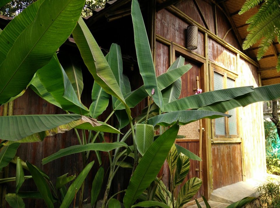 Photo of Kerala, India by Roli jain