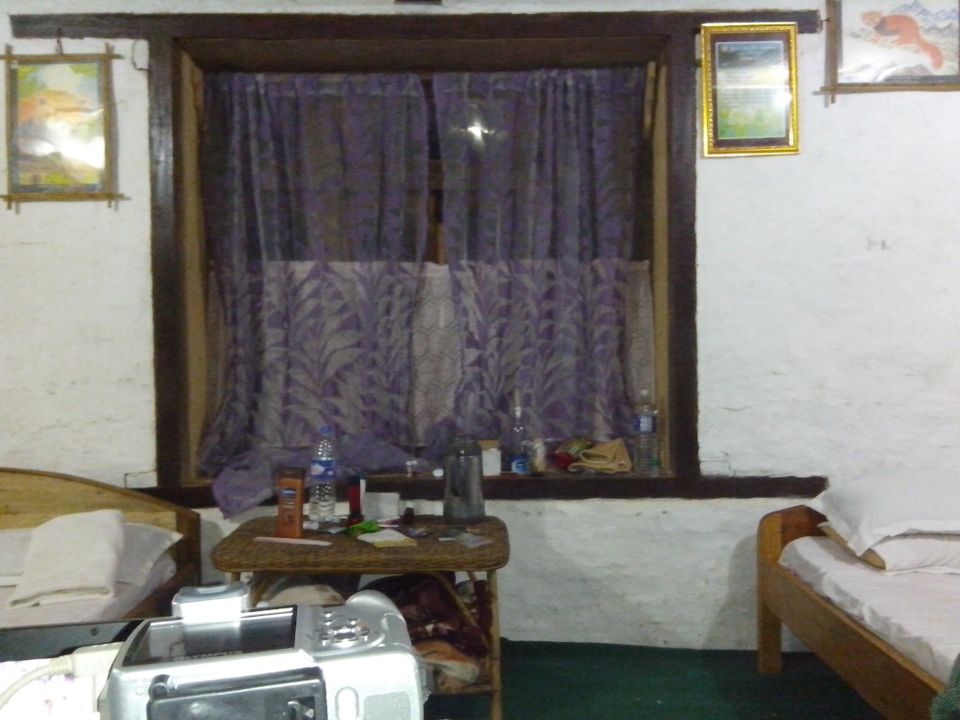 Photo of Temi Tea Estate, Sikkim, India by Roli jain