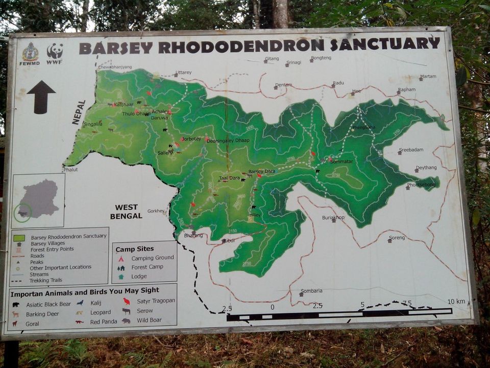 Photo of Astonishing Hee and the Barsey Rhododendron Sanctuary in Sikkim by Roli jain