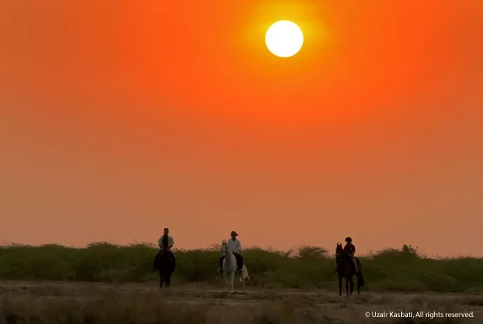 Photo of Gujarat, India by Roli jain