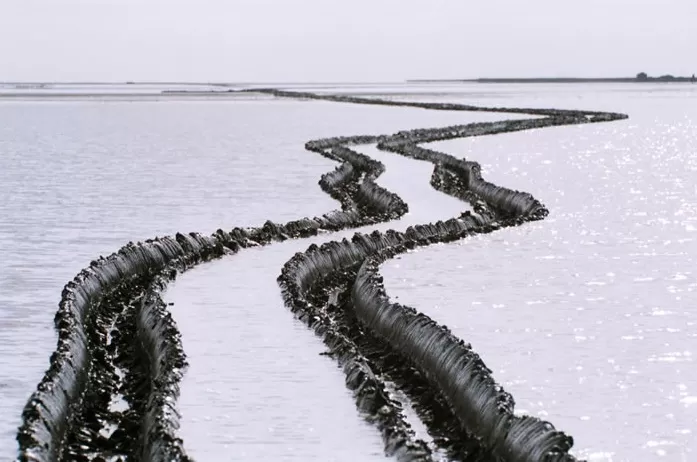 Photo of India by Roli jain