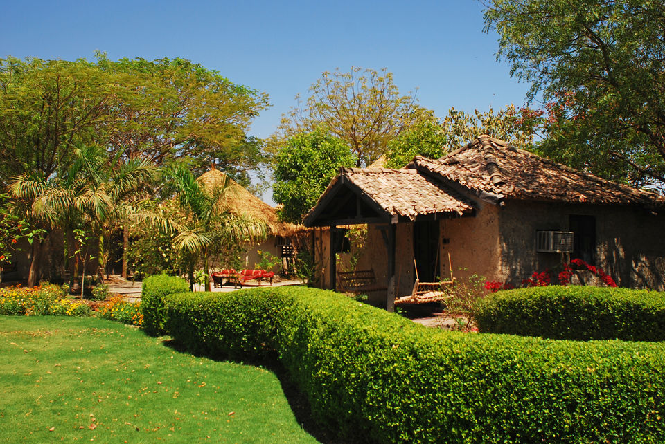 Photo of Experience Gujarat as never before at the Rann Riders Resort in Dasada on the Little Rann of Kutch by Roli jain