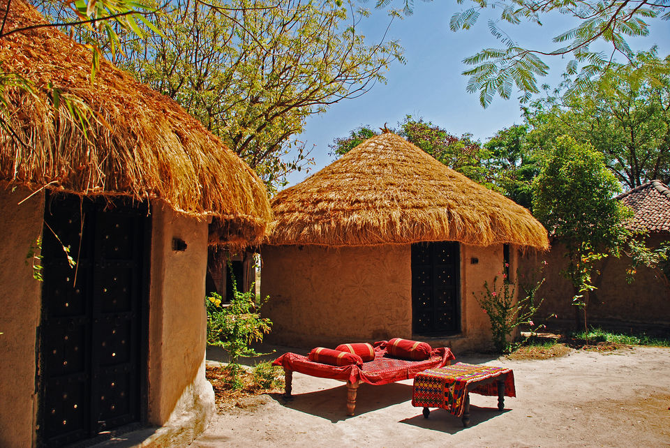 Photo of Experience Gujarat as never before at the Rann Riders Resort in Dasada on the Little Rann of Kutch by Roli jain
