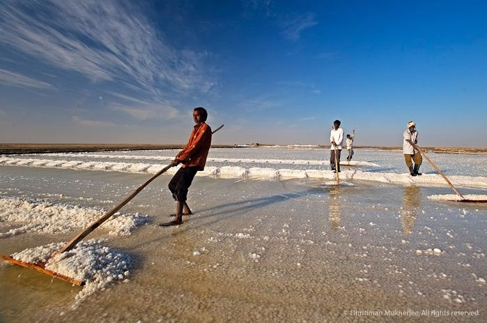Photo of Experience Gujarat as never before at the Rann Riders Resort in Dasada on the Little Rann of Kutch by Roli jain
