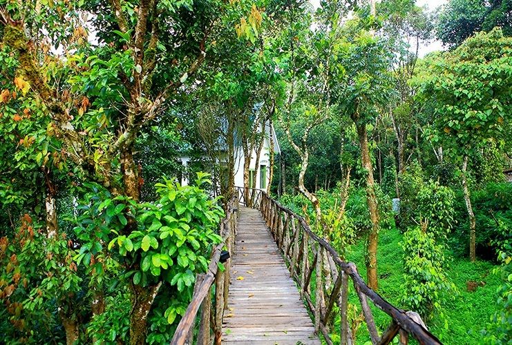 Photo of Aanavilasam Luxury Plantation House for Superb Hospitality and an Experiential Holiday in Thekkady by Roli jain