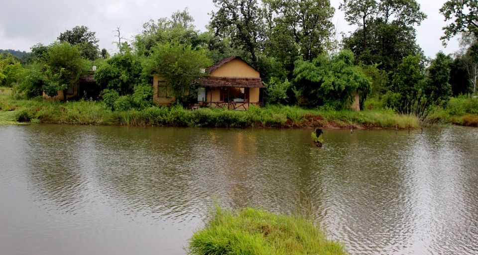 Photo of Bandhavgarh Tiger Lagoon Resort by Roli jain