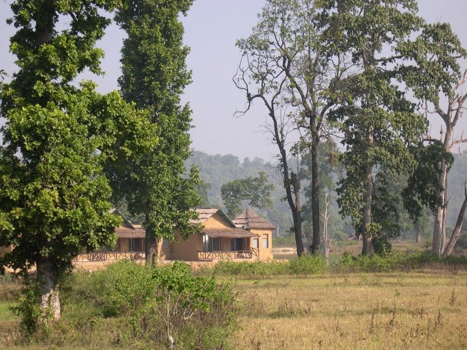 Photo of Bandhavgarh Tiger Lagoon Resort by Roli jain