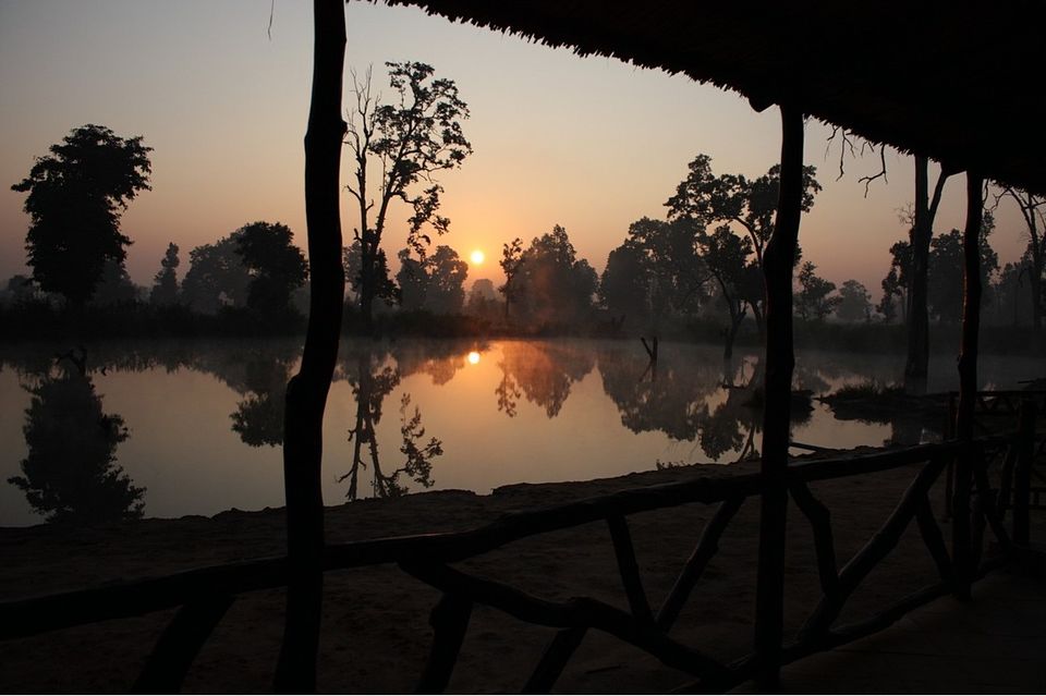 Photo of Bandhavgarh Tiger Lagoon Resort by Roli jain
