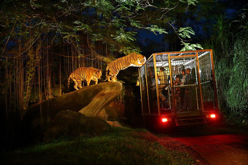 Photo of Bali Safari and Marine Park, Serongga, Gianyar, Bali, Indonesia by Roli jain