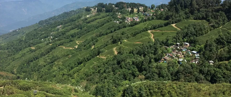 Photo of Darjeeling by Devjani Ghose