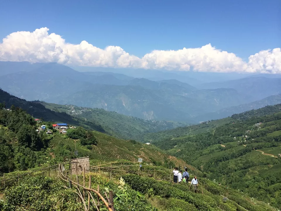 Photo of Darjeeling by Devjani Ghose