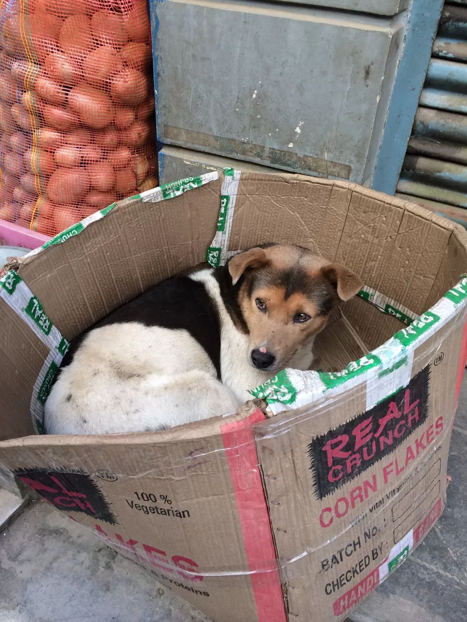 Photo of Darjeeling by Devjani Ghose