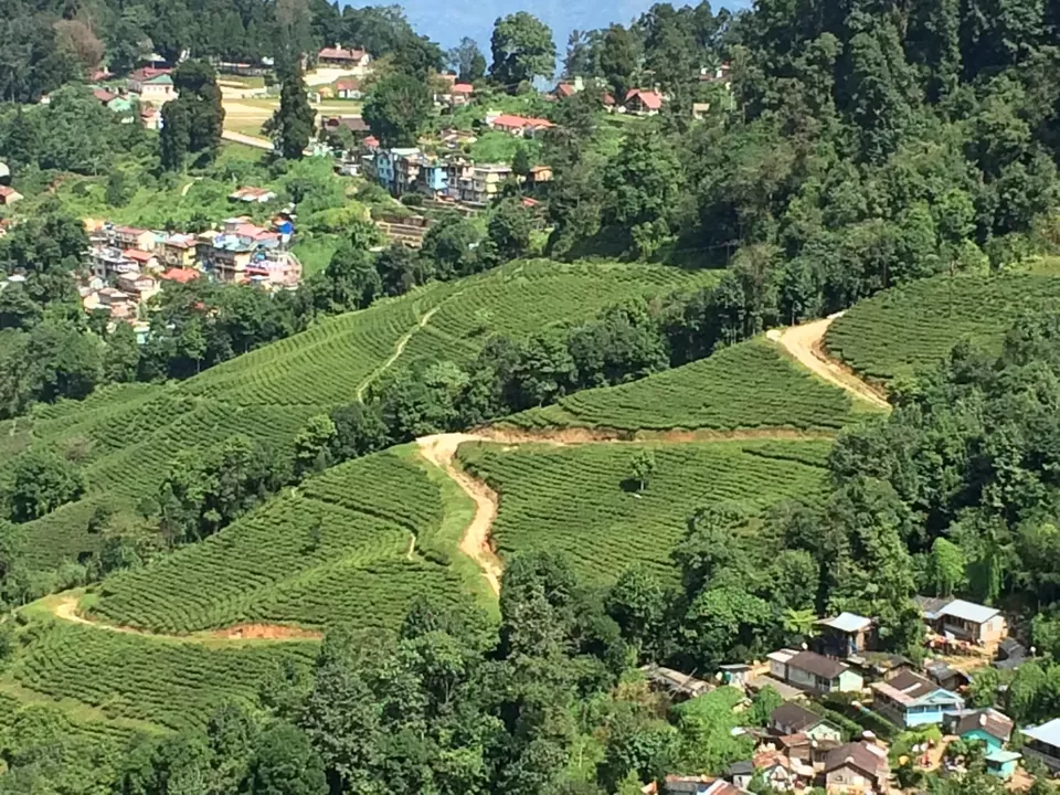 Photo of Darjeeling by Devjani Ghose