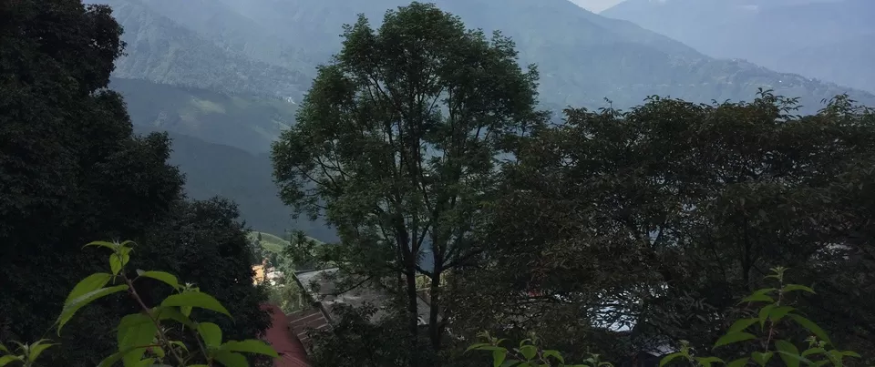 Photo of Darjeeling by Devjani Ghose