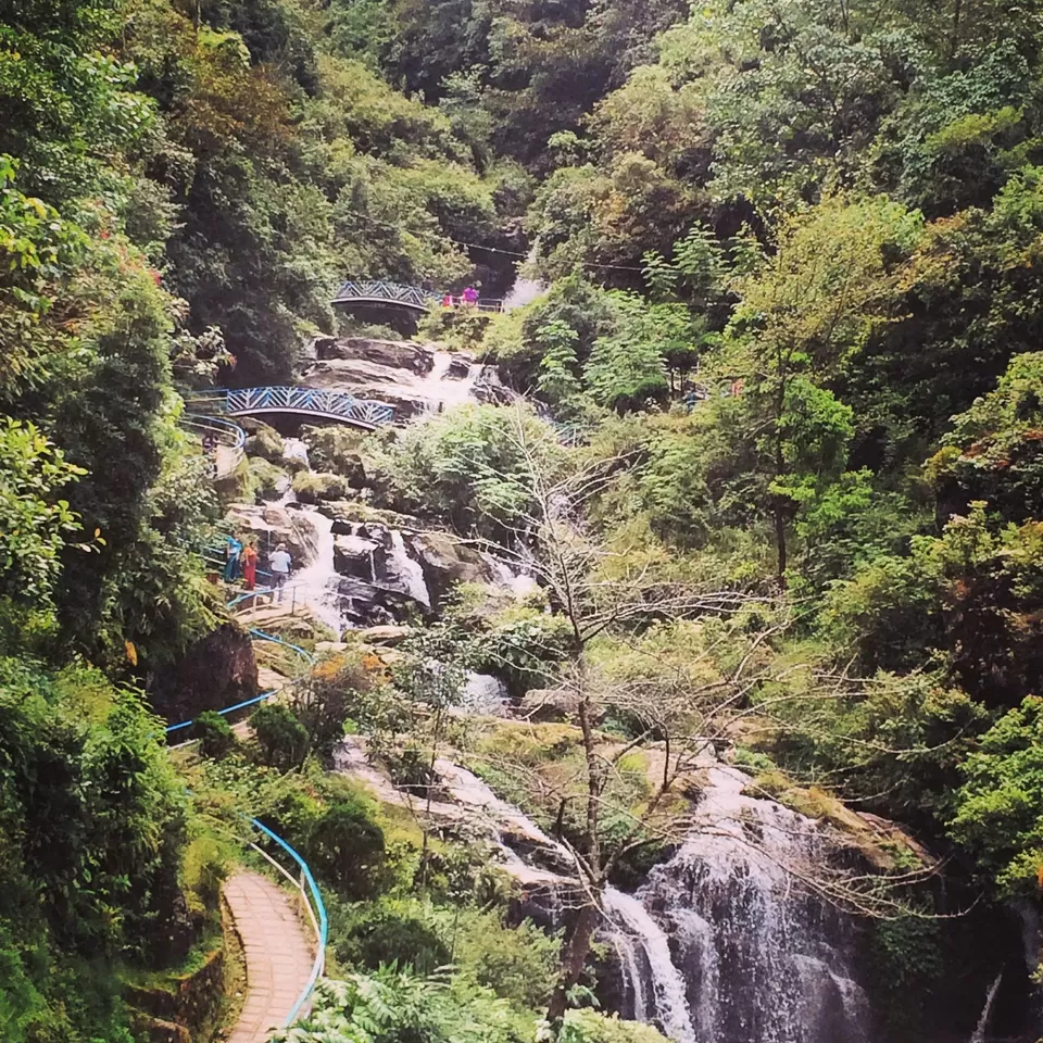Photo of Darjeeling by Devjani Ghose