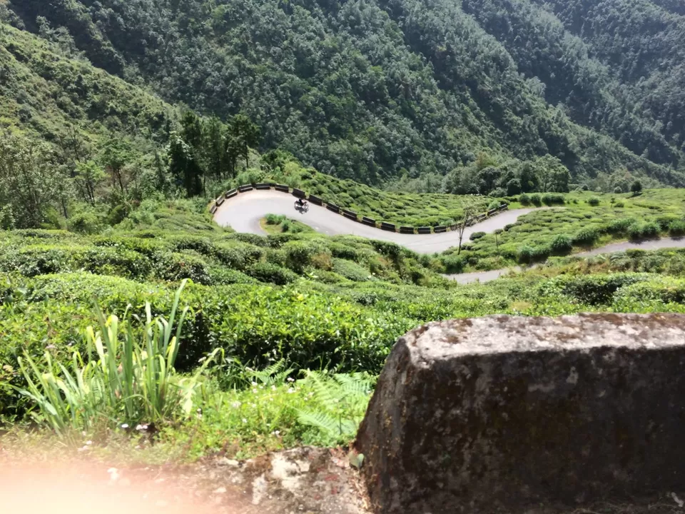 Photo of Darjeeling by Devjani Ghose