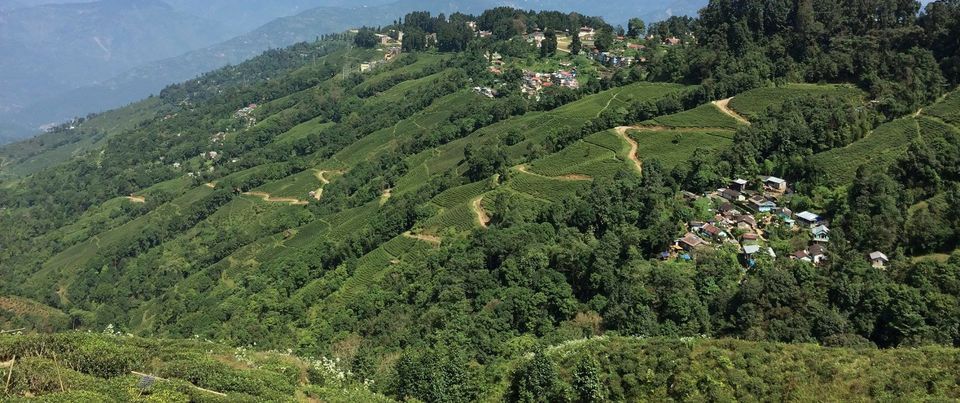 Photo of Darjeeling (Incredible India)- First stop of our vacation. by Devjani Ghose