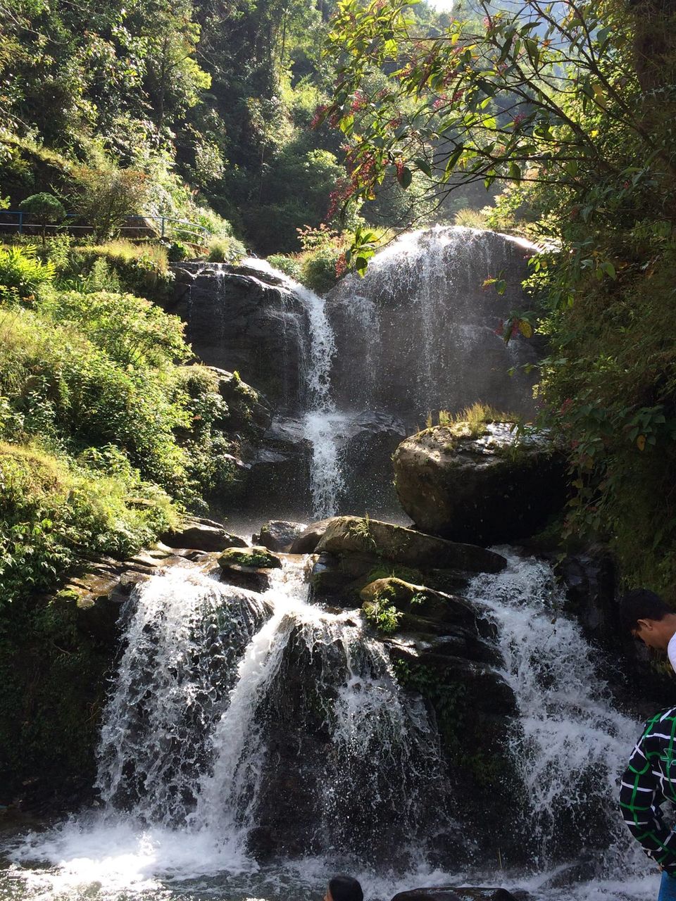 Photo of Darjeeling (Incredible India)- First stop of our vacation. by Devjani Ghose