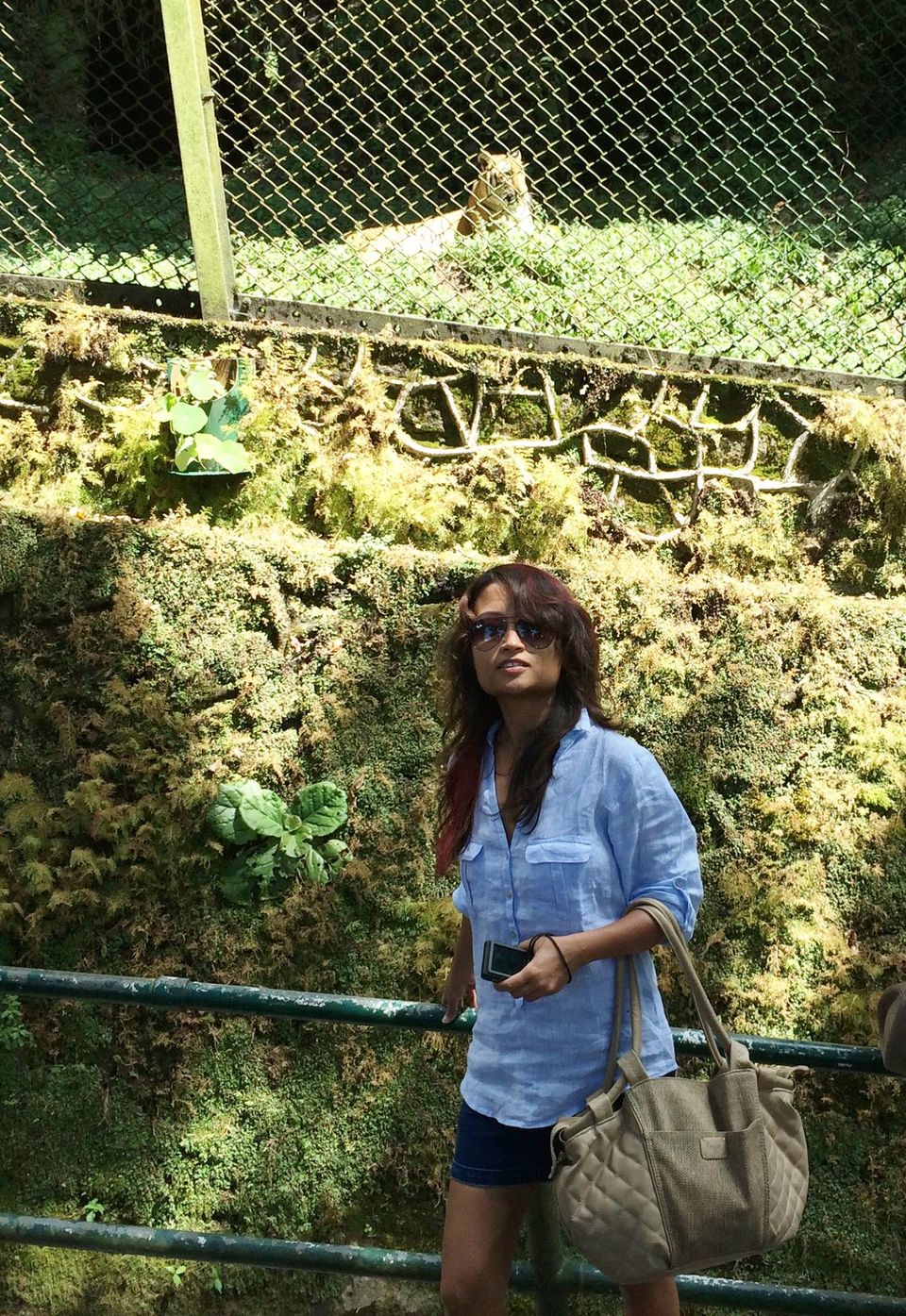 Photo of Darjeeling (Incredible India)- First stop of our vacation. by Devjani Ghose