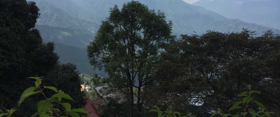 Photo of Darjeeling (Incredible India)- First stop of our vacation. by Devjani Ghose