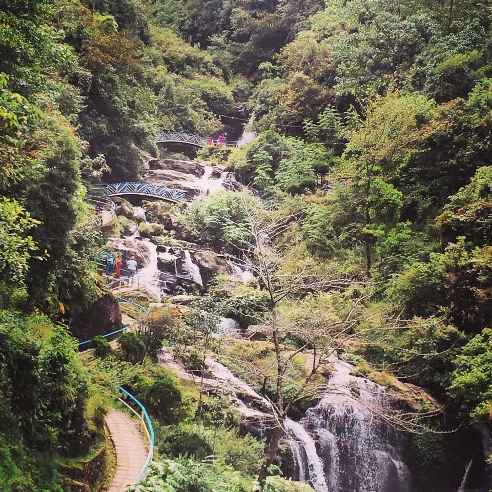 Photo of Darjeeling (Incredible India)- First stop of our vacation. by Devjani Ghose