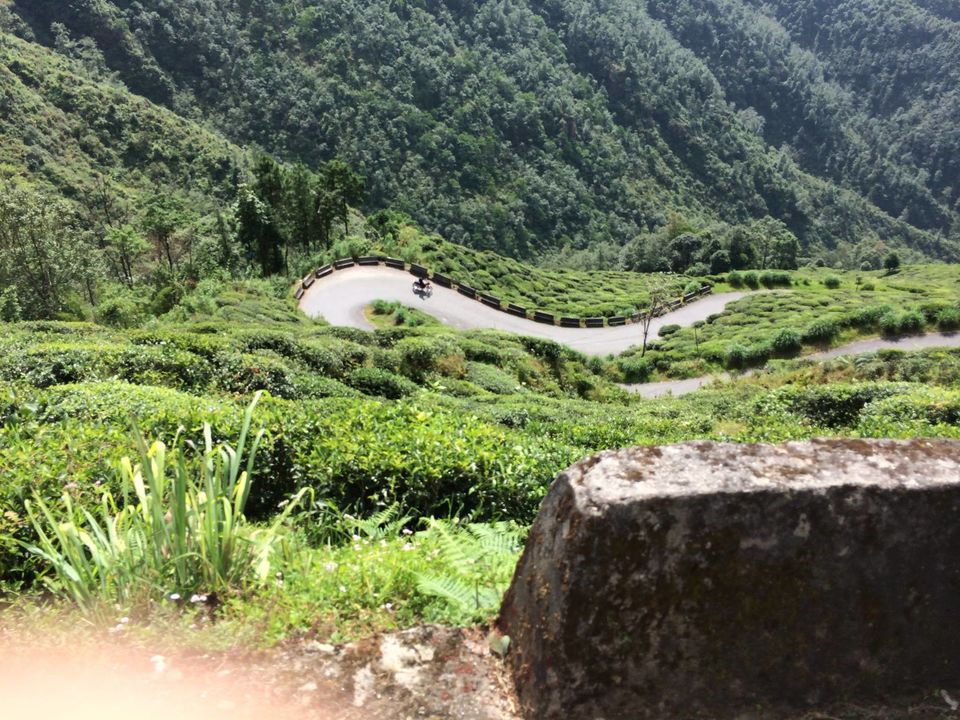 Photo of Darjeeling (Incredible India)- First stop of our vacation. by Devjani Ghose
