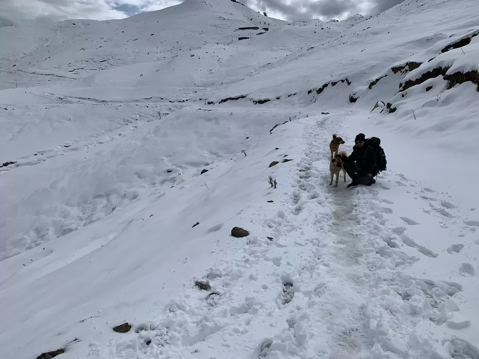 Photo of Prashar Lake Trek Complete Guide + My prashar Lake Journey by Naman Singla